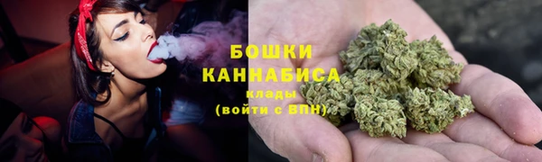 МДПВ Мегион